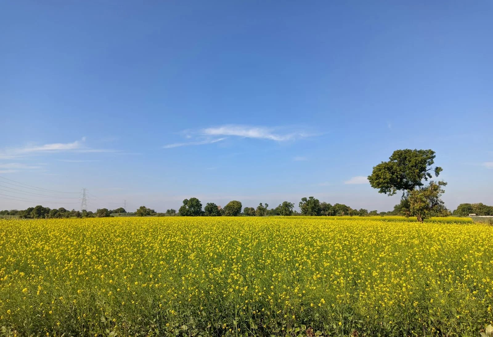 Gujarat — cover photo