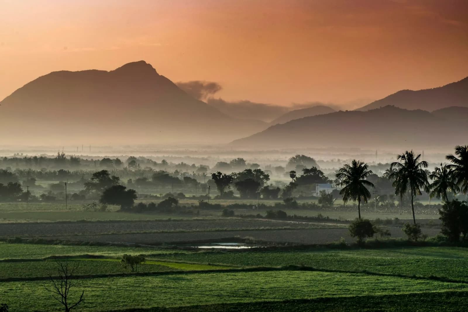 Odisha — cover photo