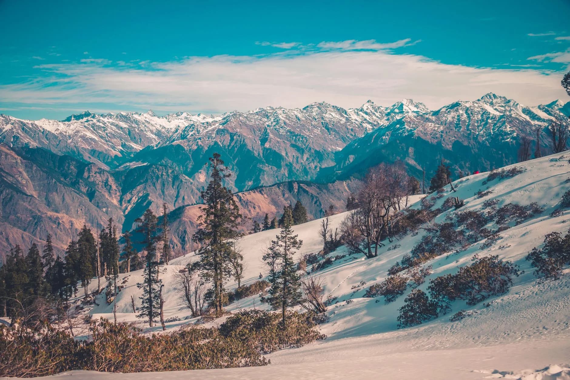 Auli Snow Weekend — cover photo