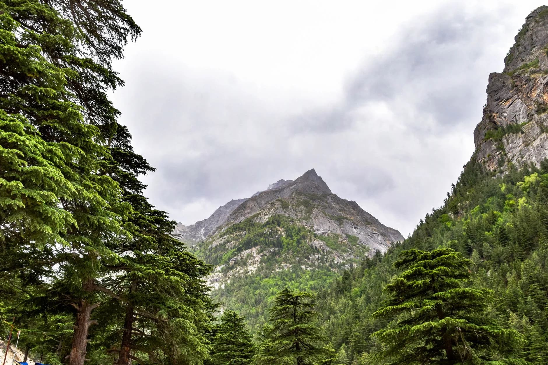 Harsil + Gangotri Valley