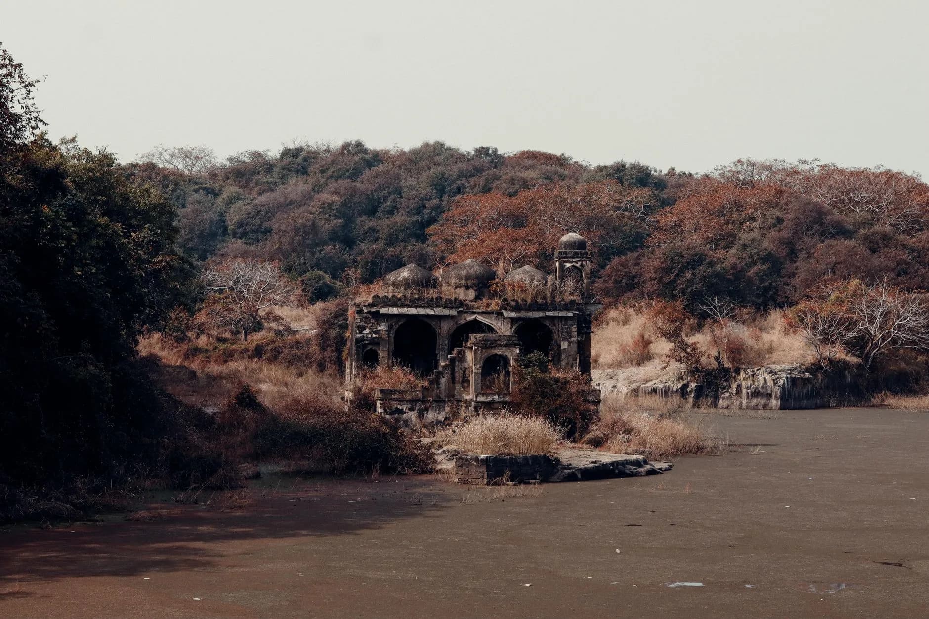 Jaipur & Ranthambore Wildlife