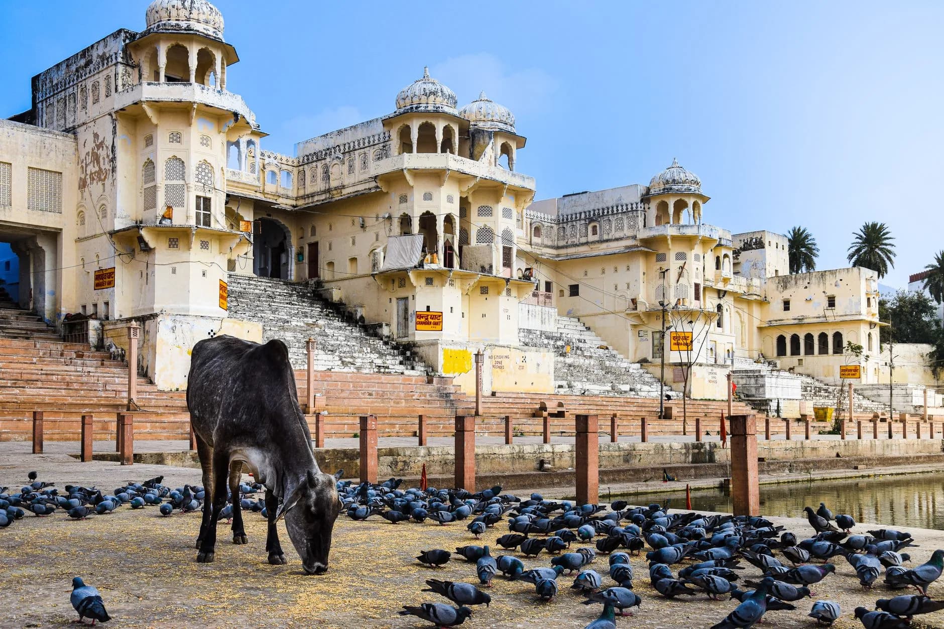 Jaipur–Pushkar Heritage — cover photo
