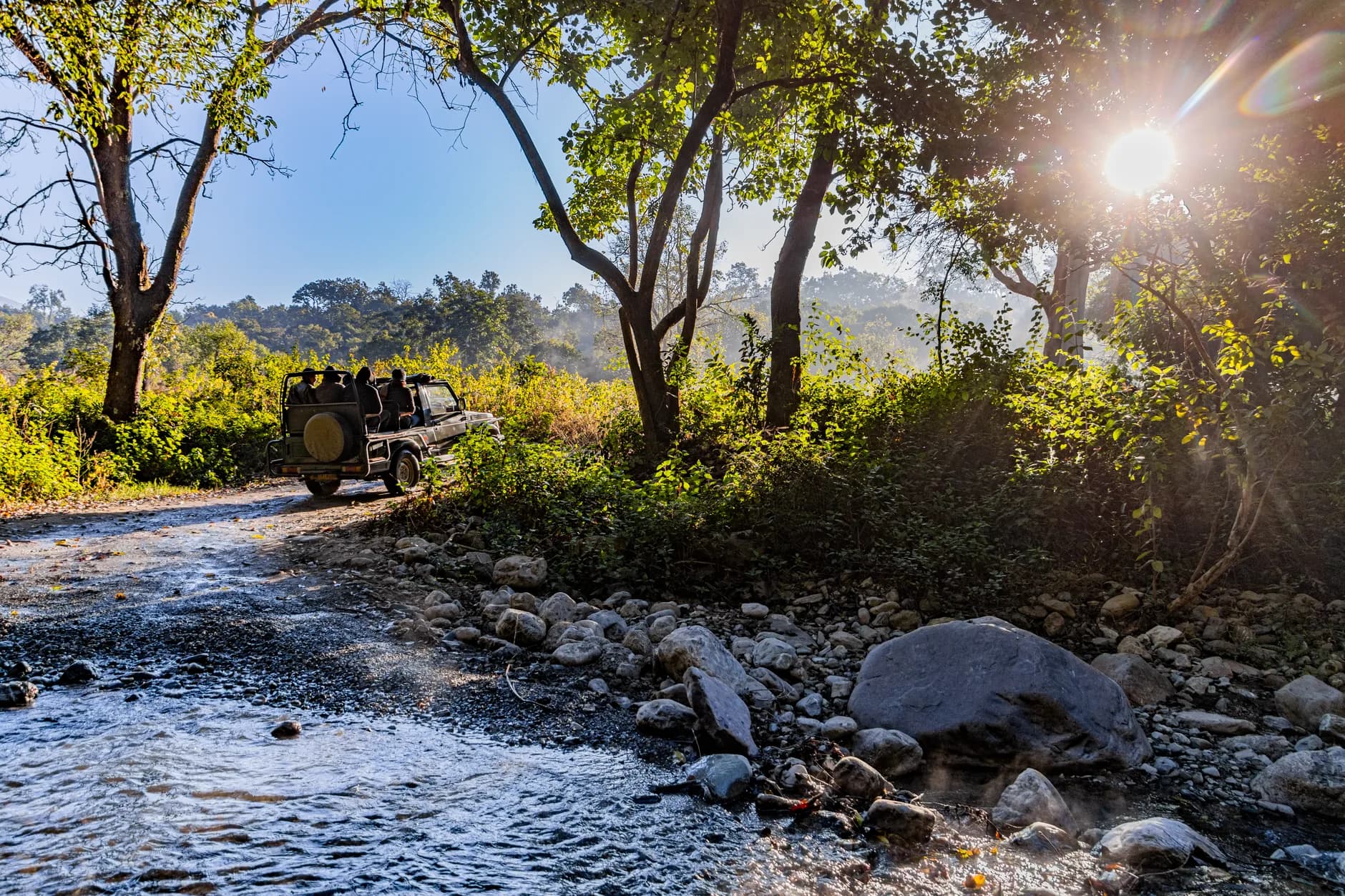 Jim Corbett — Jungle & Safari