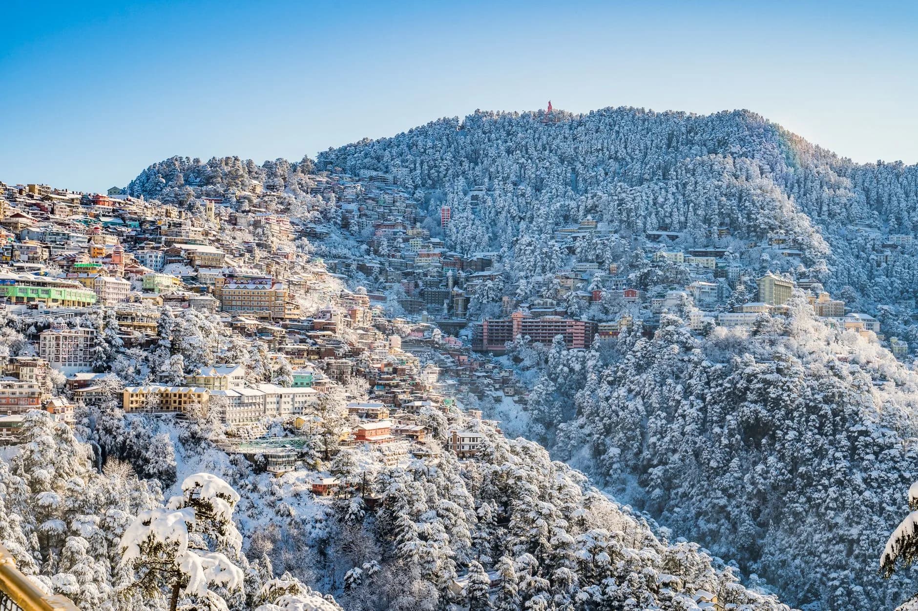 Shimla + Kufri Getaway