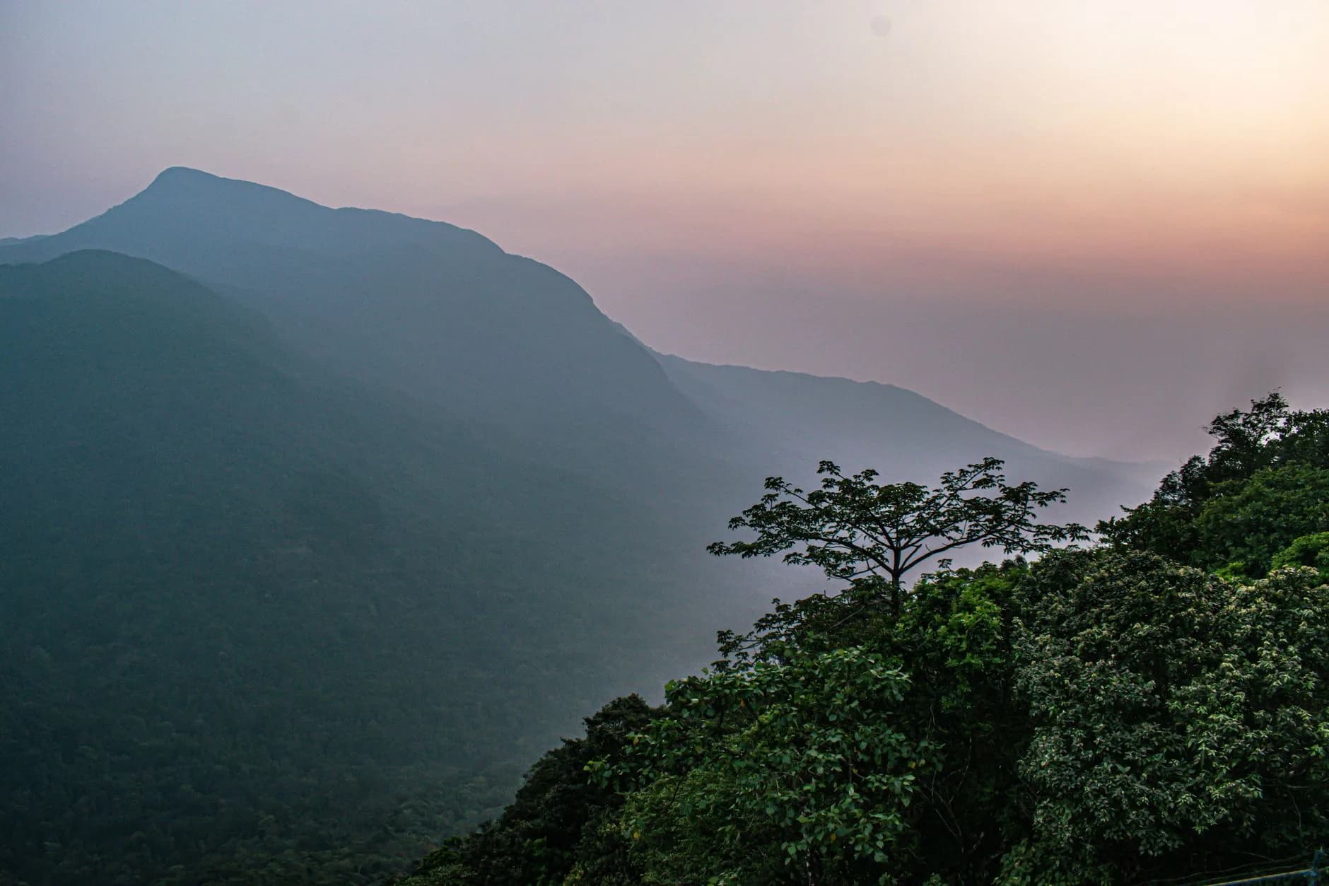 Agumbe + Sringeri — Rainforest & Math — cover photo