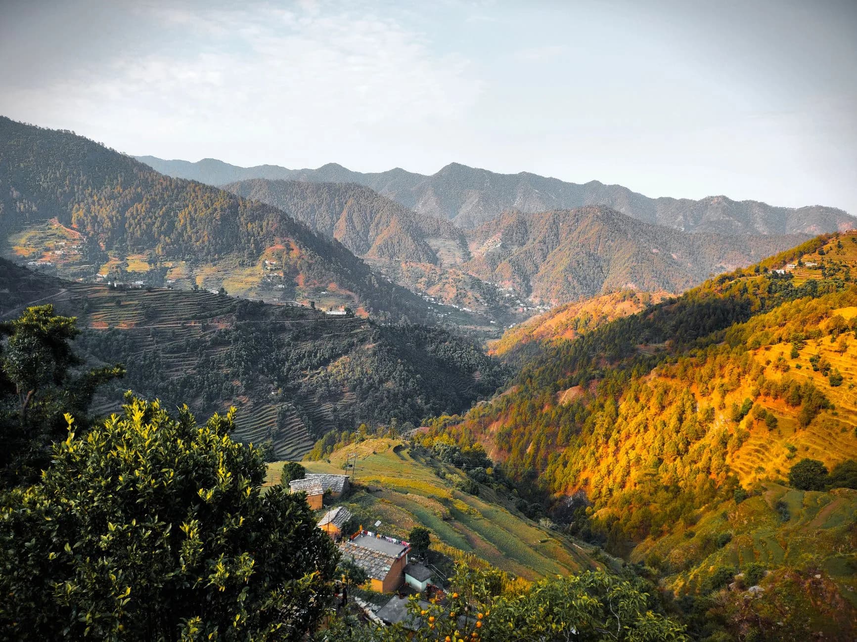 Garhwal White Triangle — Chopta, Auli & Rishikesh