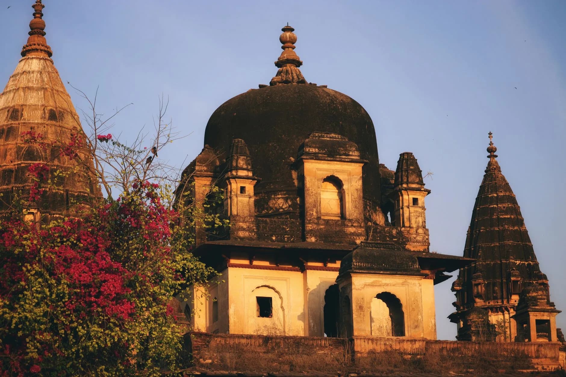 Grand Madhya Pradesh — Temples, Tigers & Forts