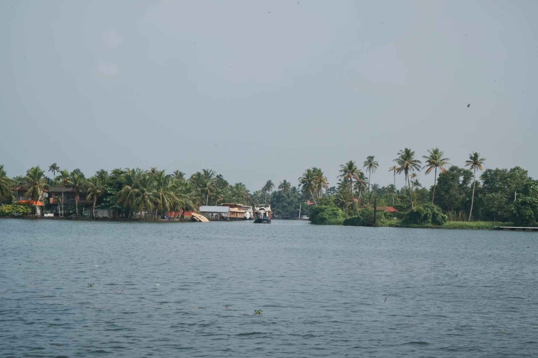 Kerala Backwaters & Beaches Deluxe