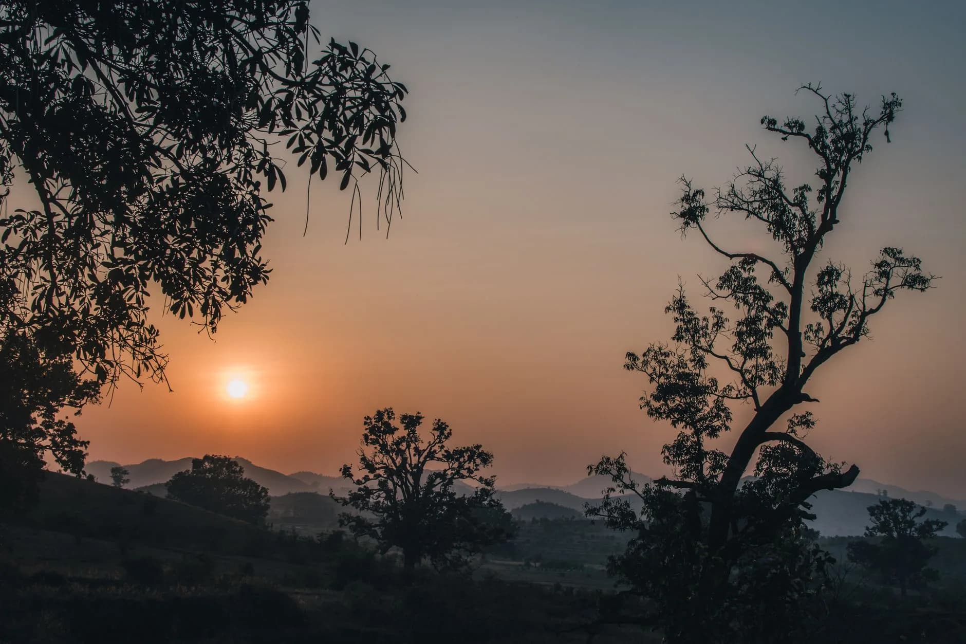 Koraput & Deomali — Southern Highlands — cover photo