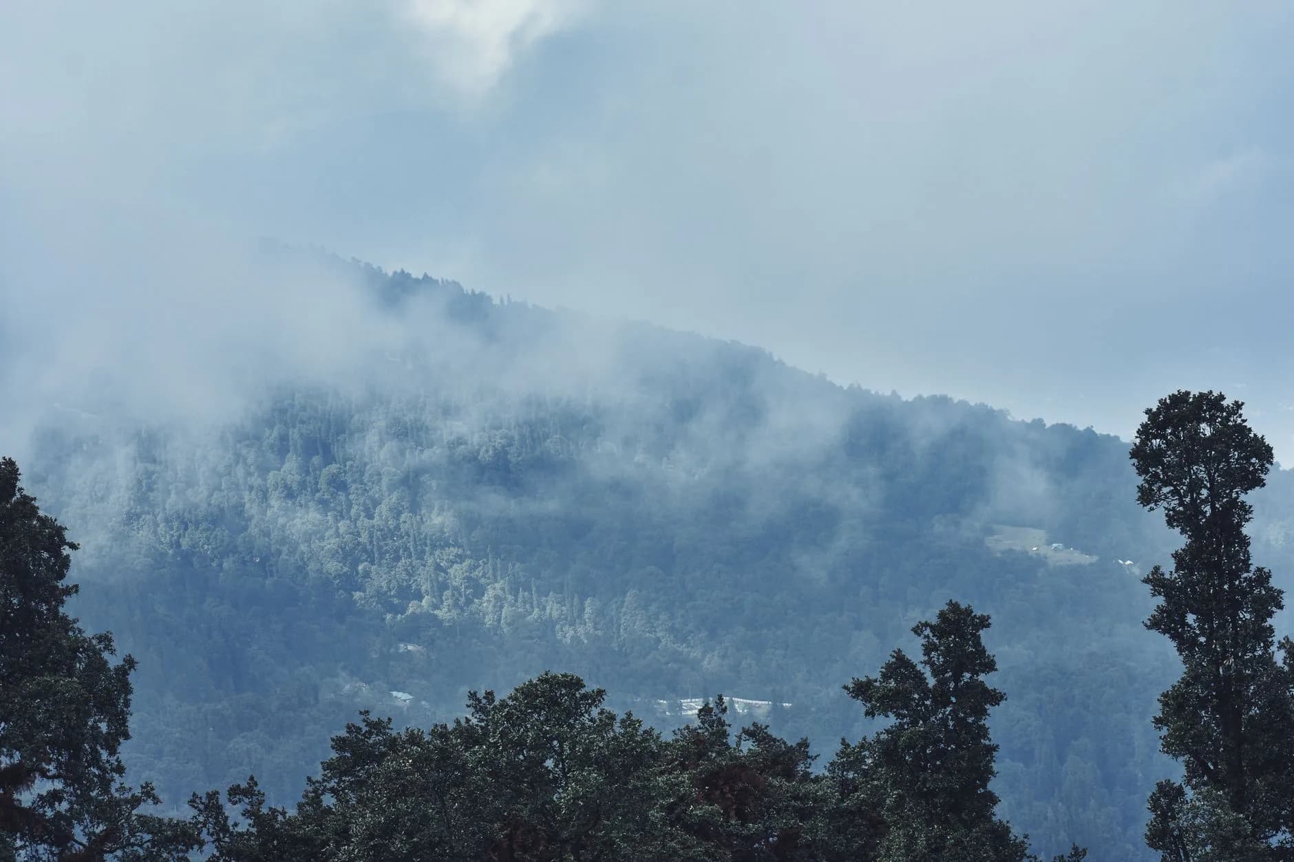 Manali + Jibhi — Valleys & Passes