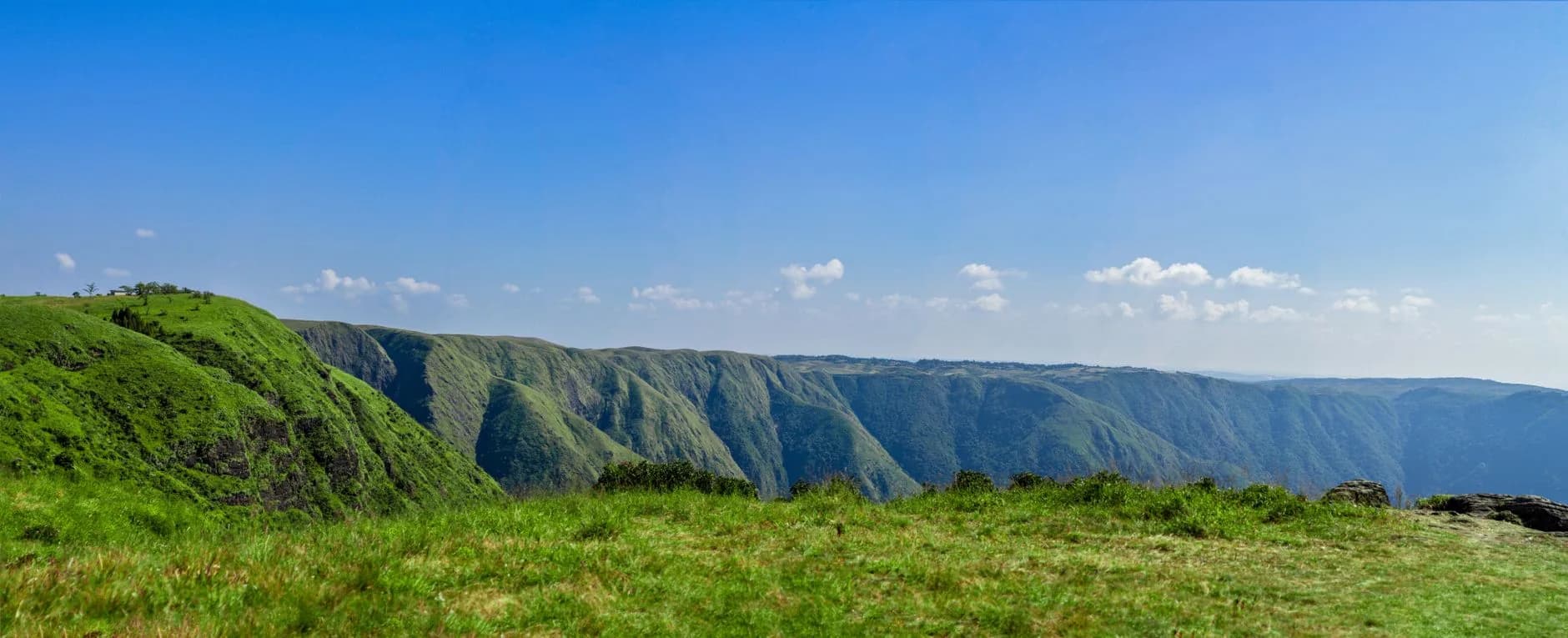 Meghalaya Deep Dive — Nongriat Root Bridge — cover photo