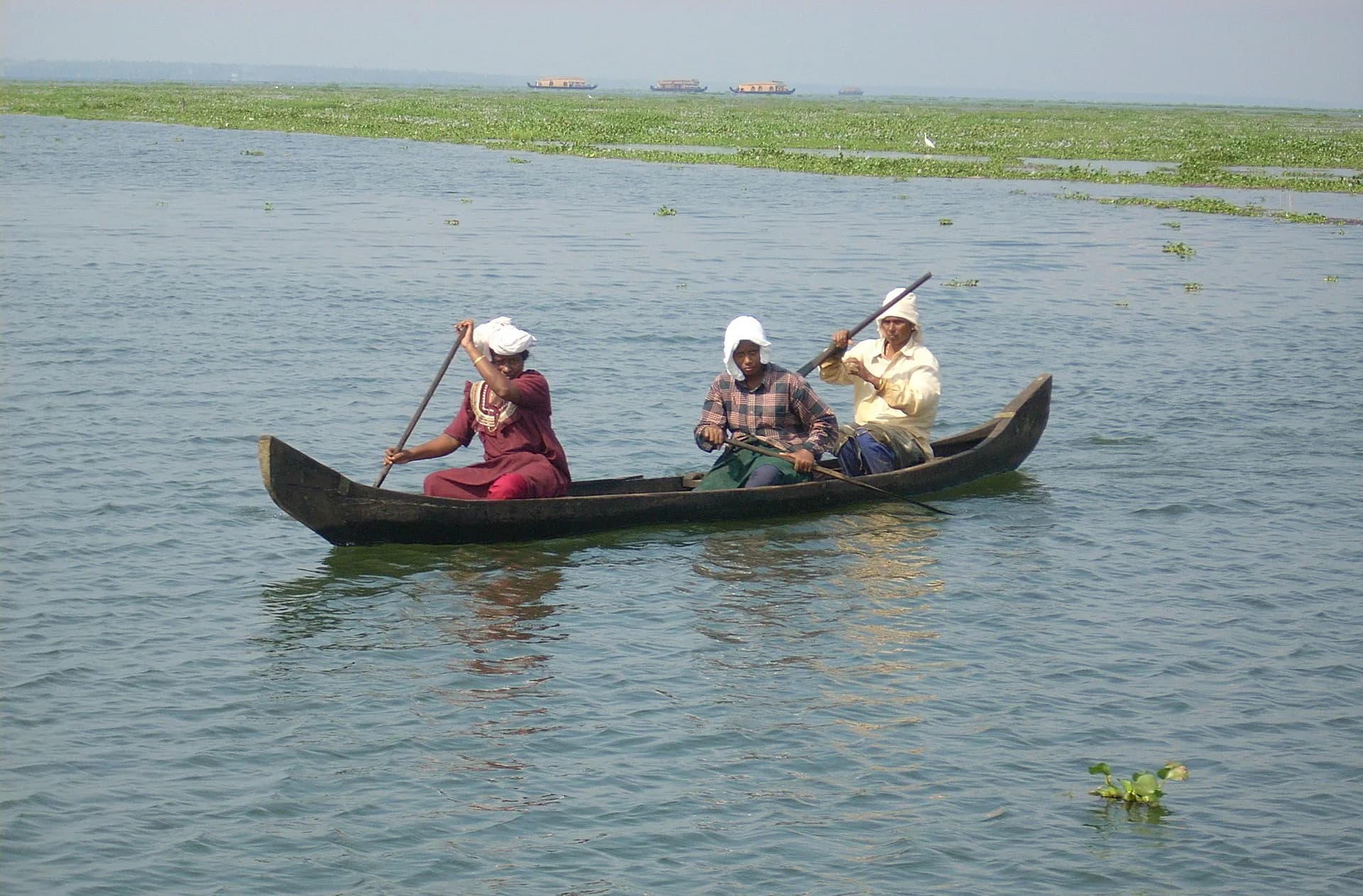 Munnar + Alleppey — Hills & Houseboat