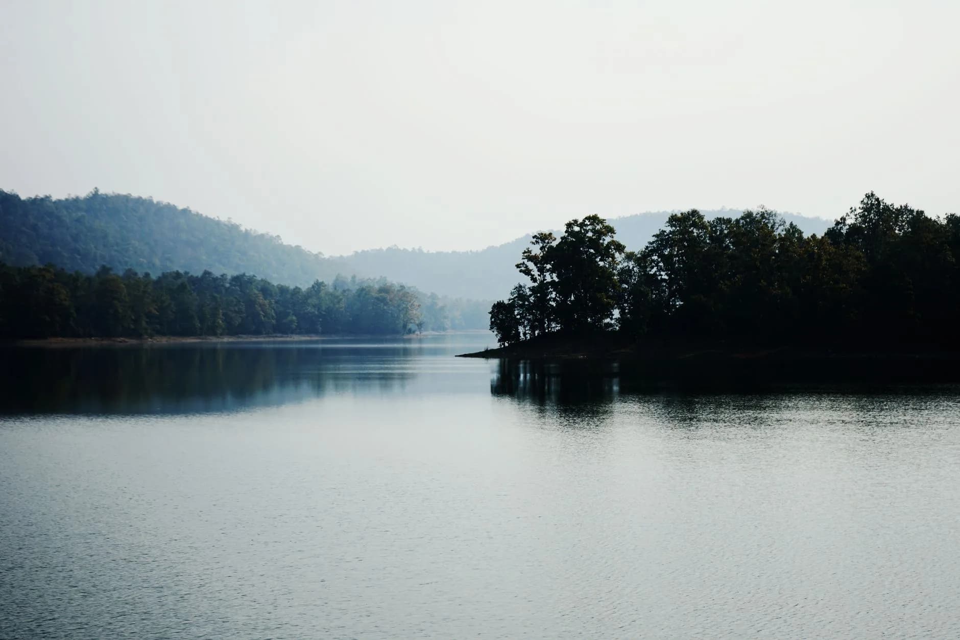 Satkosia + Bhitarkanika — Gorge & Mangrove