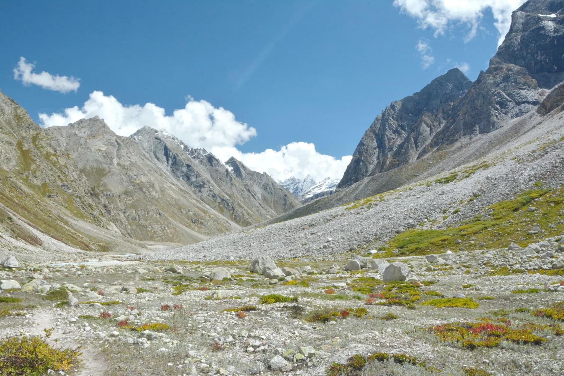 Valley of Flowers + Hemkund Sahib