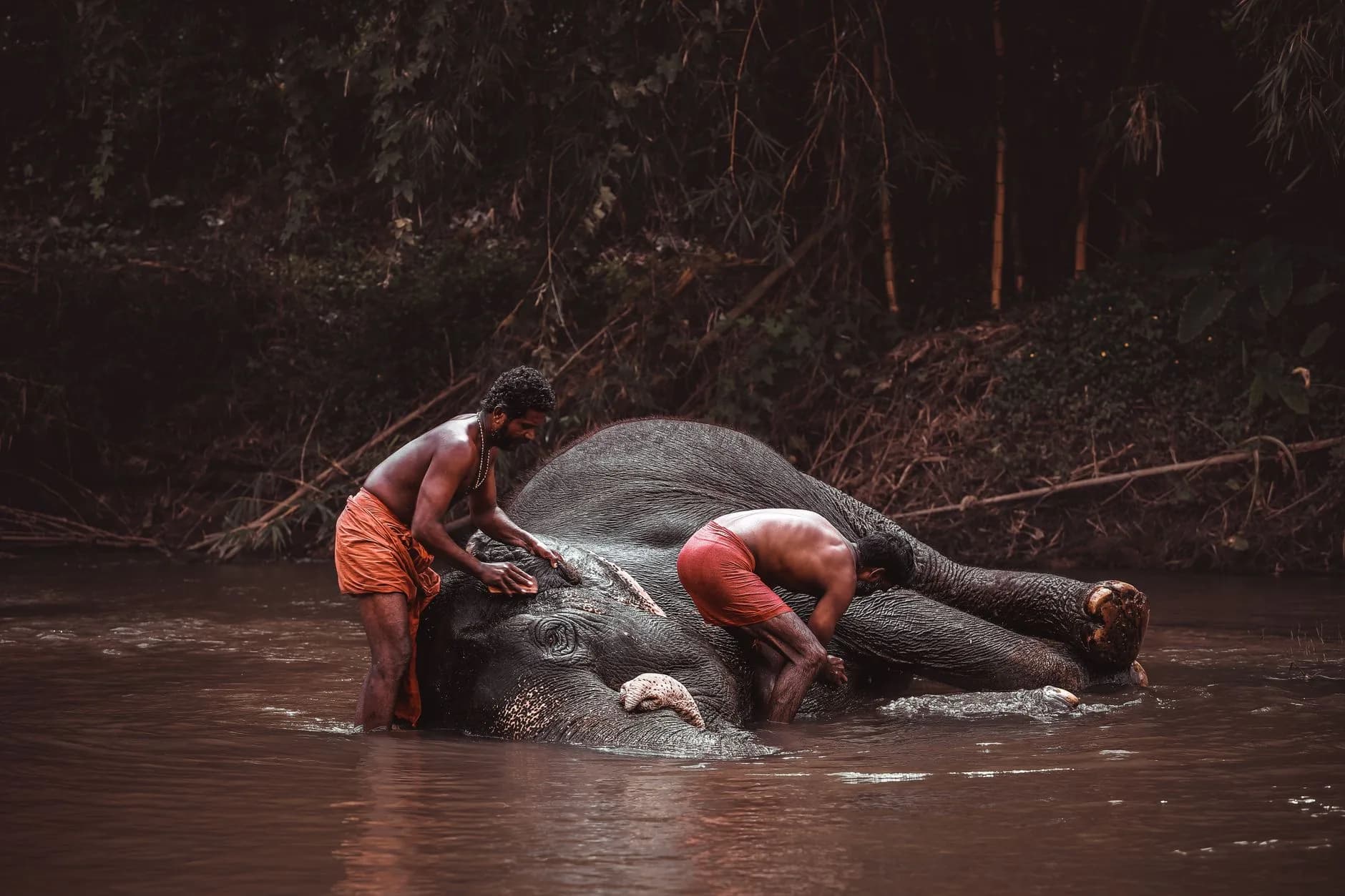 Wayanad–Coorg–Mysore Green Circuit