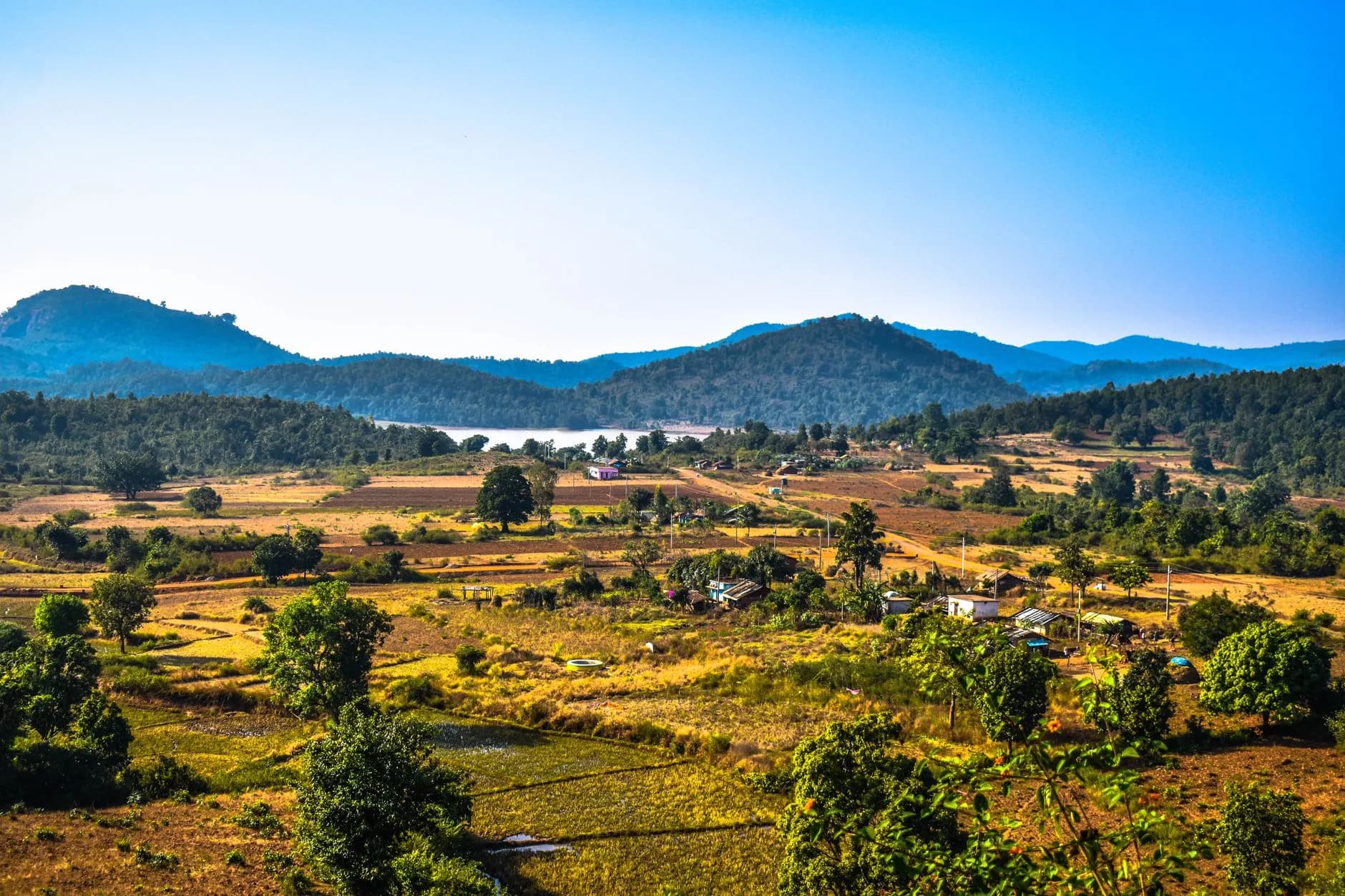 West Odisha + Daringbadi — Looms, Safari & Hills