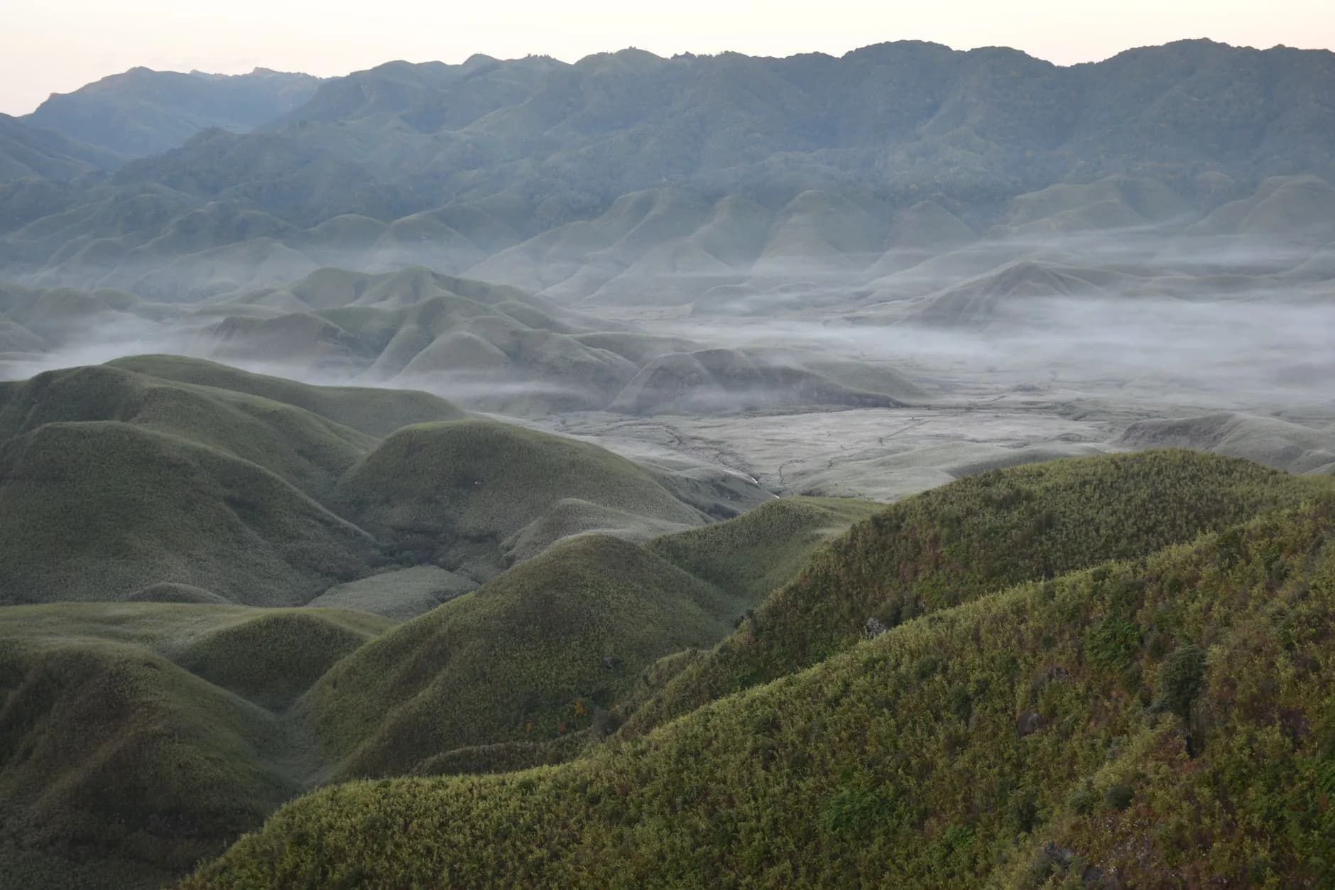 Ziro Valley Short — Apatani Heartland